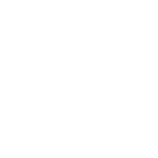 Arm