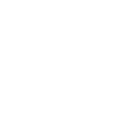 Leg