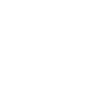 Torso